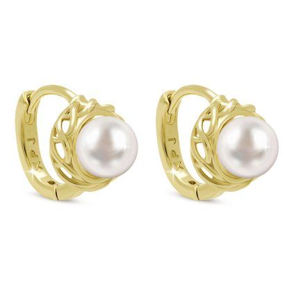 61774 paris 3894 nausnice s perlickou