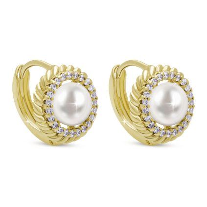 61777 paris 3895 nausnice cop s perlou