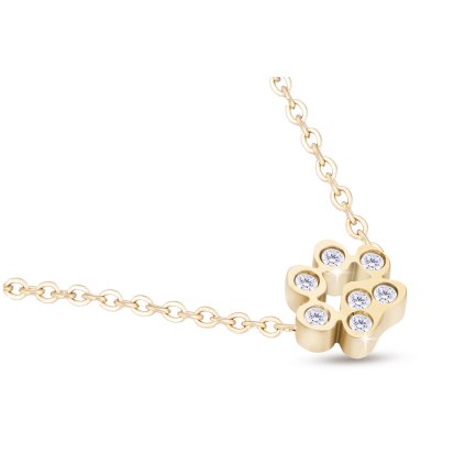 Lanț din oțel chirurgical cu pandantiv, placat cu aur de 14k, labe delicate decorate cu zirconi 3001858