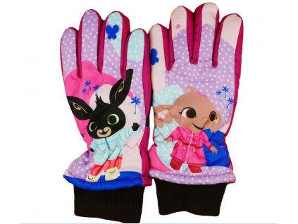 Lyžařské rukavice Bing