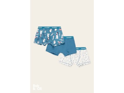 pack 3 boxers for boy organic