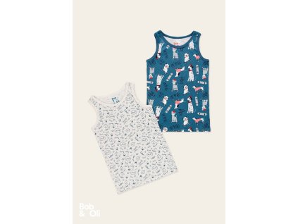 pack 2 t shirts for boy organic (8)