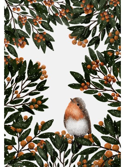 Přáníčko Červenka