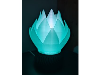 PXL 20260205 194847906