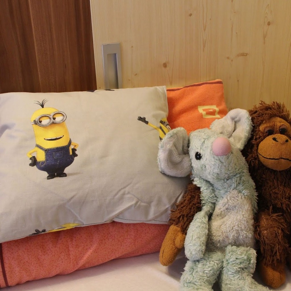 Povlaky na polštáře