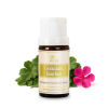 Geranium, bourbon