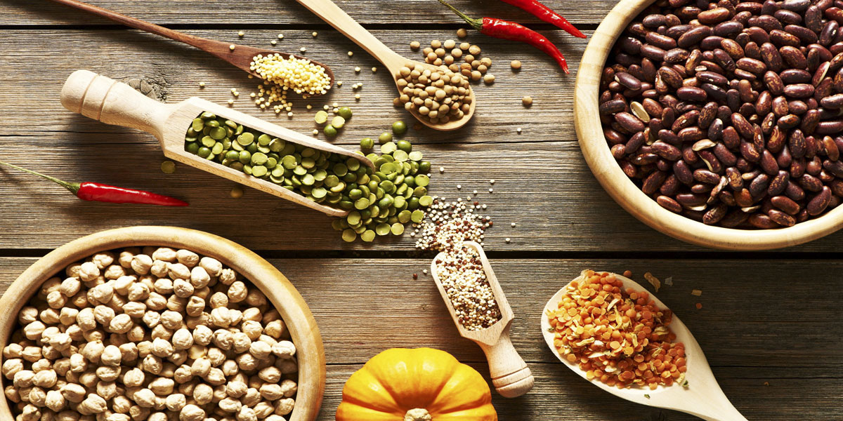 Kde hledat bílkoviny, pokud jste vegetarián