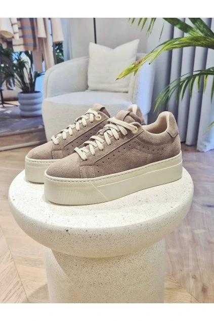 FB IMG 1772525903094