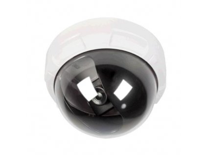 DMC-010W Atrapa kamery