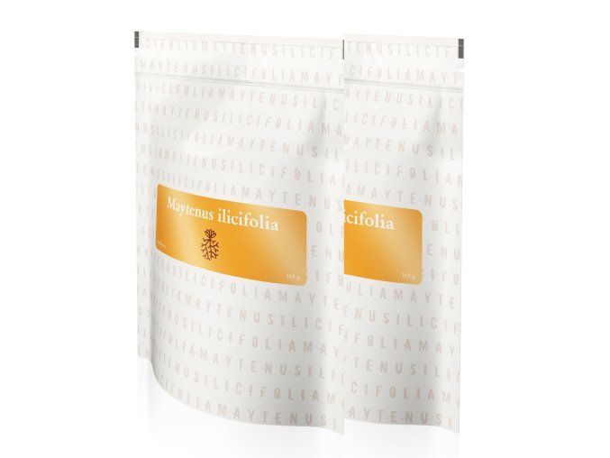 maytenus ilicifolia 2x