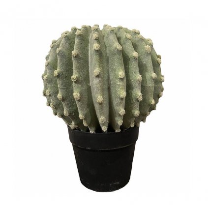 Dekorace Kaktus