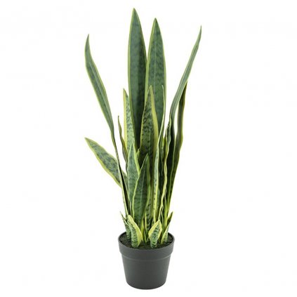 Umělá rostlina Sansevieria