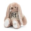 Zajíc RM Lilly