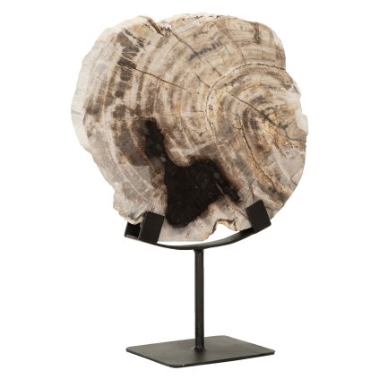 Large ML 890932 Fossil statue 2