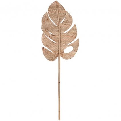 Monstera leaf large