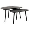 Large HI 301181 Organus coffee table black set of 2 1