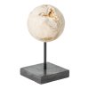 Large ML 325904 Ball Cheese object Stone 2