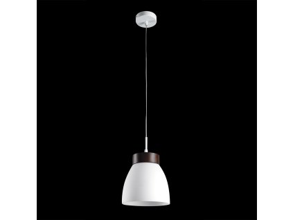LUXERA 18069 FOCUS 1xE27/40W, OPAL/DARK WOOD