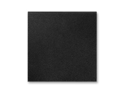 Neo Tech - 3902M-A00001 37 - Kryt zaslepovací - onyx