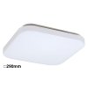 Stropné svietidlo Rob 3340 - LED 20W - biela