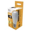 LED žiarovka Basic A60 12W E27 teplá biela - ZL4013