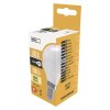 LED žiarovka Basic Mini Globe 8,3W E14 teplá biela - ZL3911_2