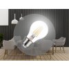 LED žiarovka / filament 6W - A60 / E27 / 4000K - ZLF521_5