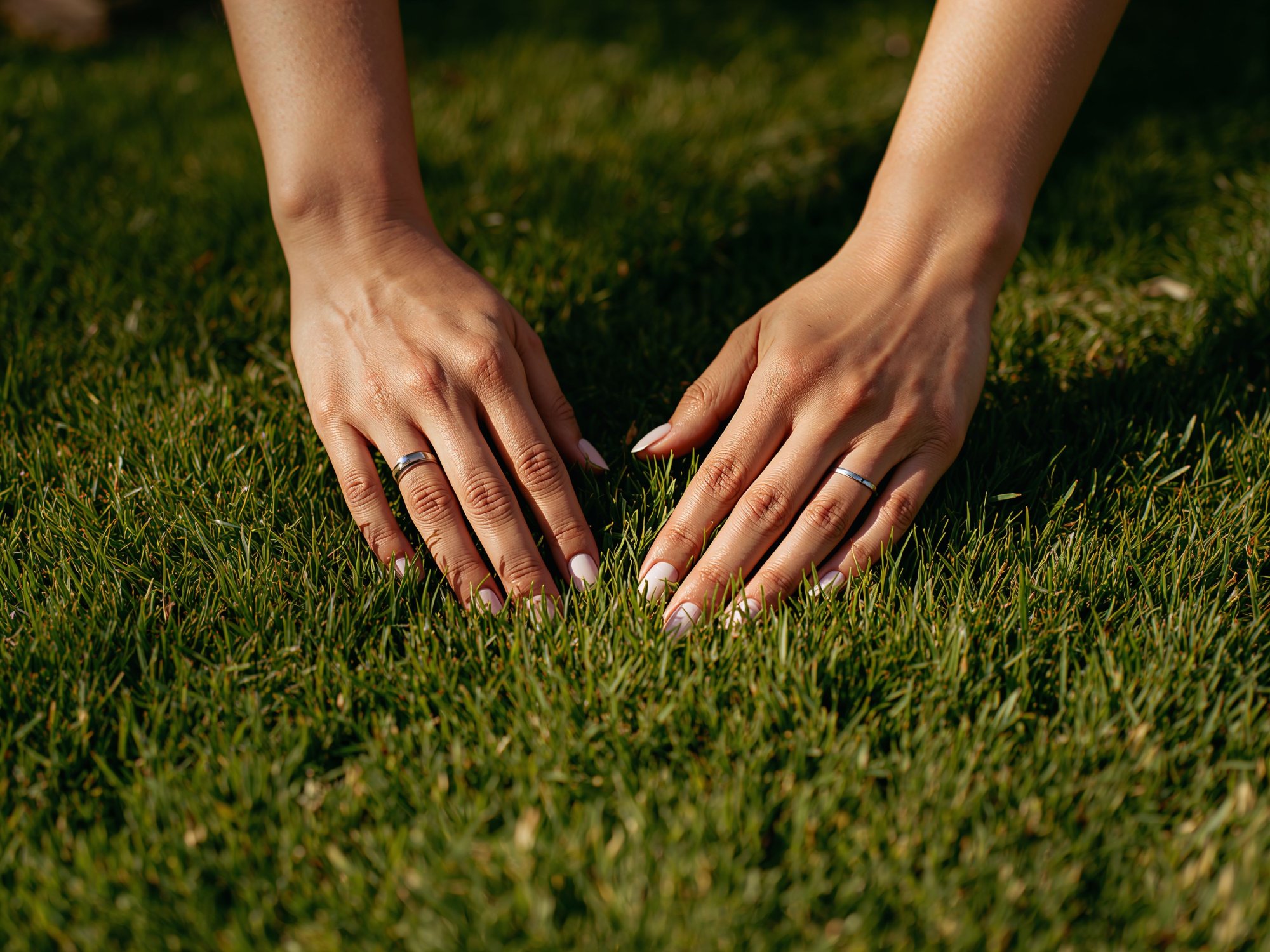 Emptying the ELO 1 grass catcher with one hand – practical and convenient lawn care