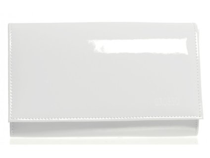 sp100 psani bily lak 2