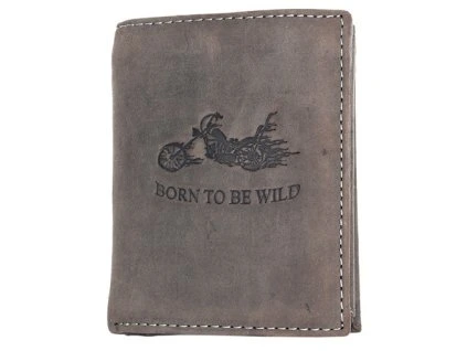 3447 100b314 hl 263 grey motorbike 1