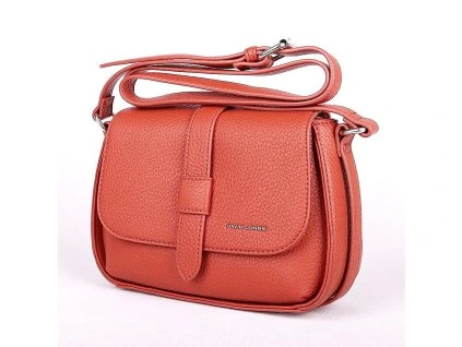 20171 1 15112023 004a