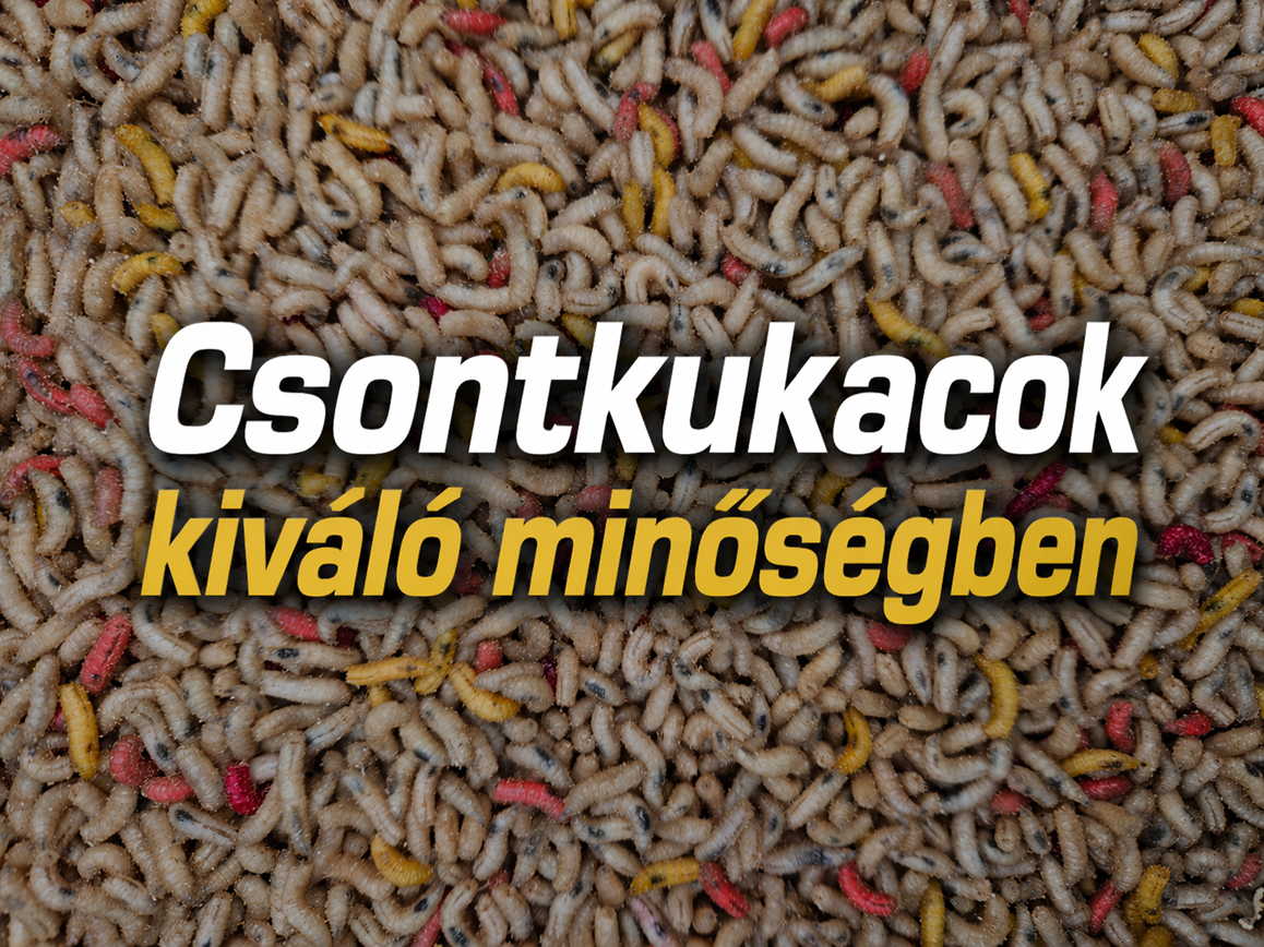 csobntkukas