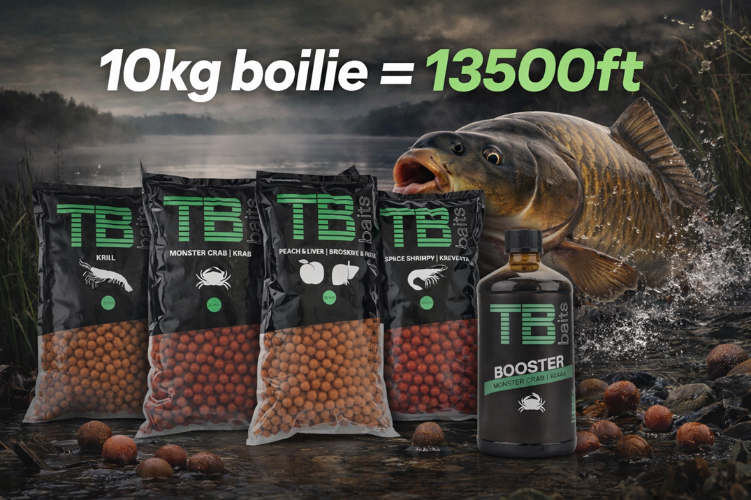 TBboilies