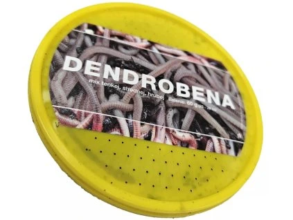 26 nagy alapértelmezett