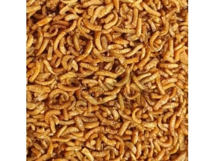 105 nagy alapértelmezett