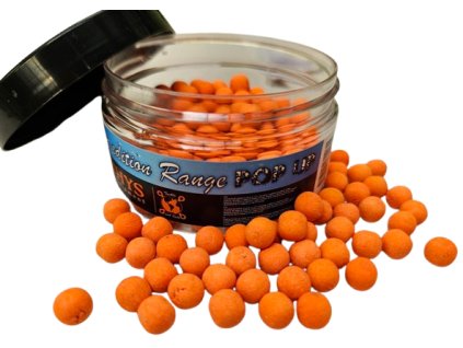 20250502 161537 removebg előnézet