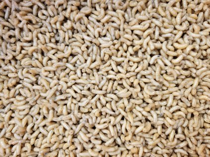 55 kostny cerv natur