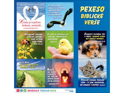 PEXESO – Biblické verše