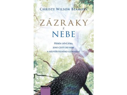 Wilson Beamová Christy - Zázraky z nebe