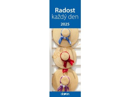 vyr 2889 Radost kazdy den obalka 1