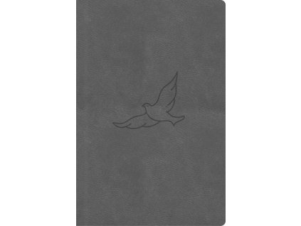 bible21 cerna