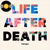 400px TobyMac LifeAfterDeath Winyl