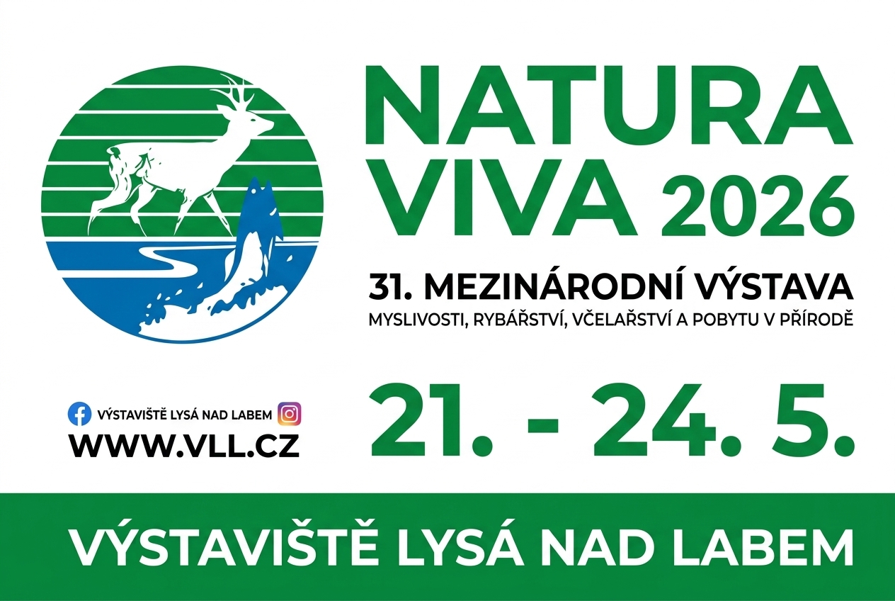 natura viva