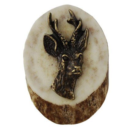 Parohové bolo - řez