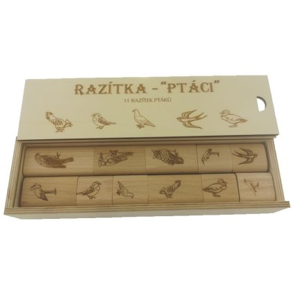 Novak ptaci 3