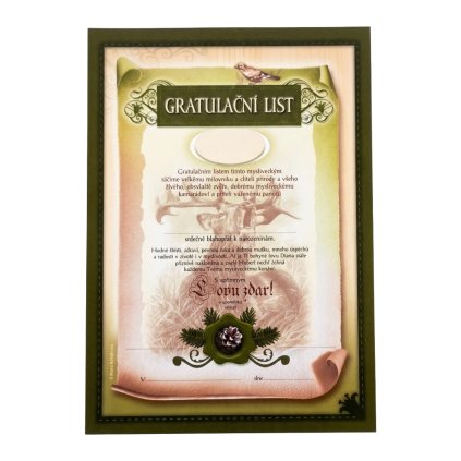 Český výrobek (56)