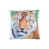 Polštářek 33x33 cm tygr