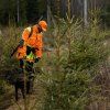 100421551 environment 2.jpg