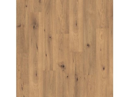 classic 7 31 v4 el2067 dub divoky prirodny