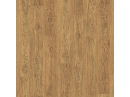 classic 8 32 el2863 dub asgil medovy